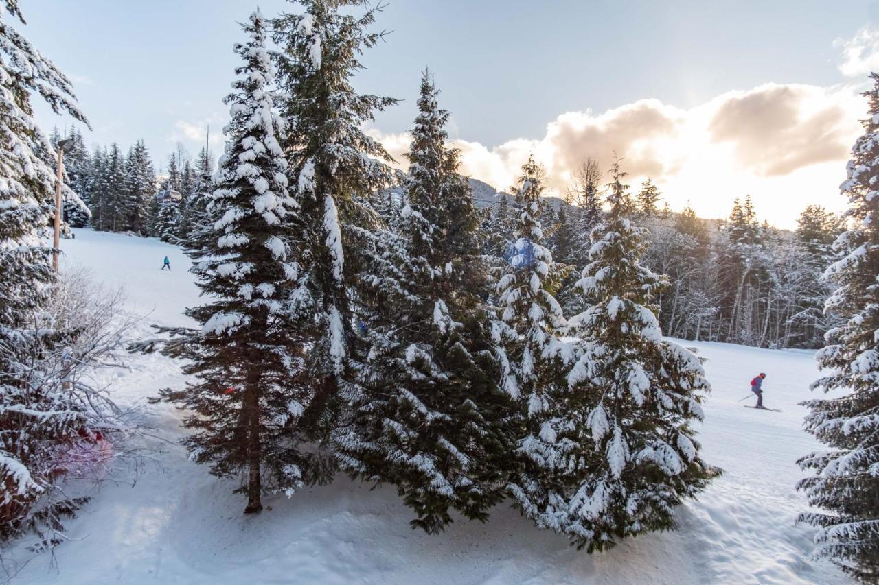 The Best Ski In Ski Out Two Bedroom Condo At Aspens Whistler Eksteriør billede